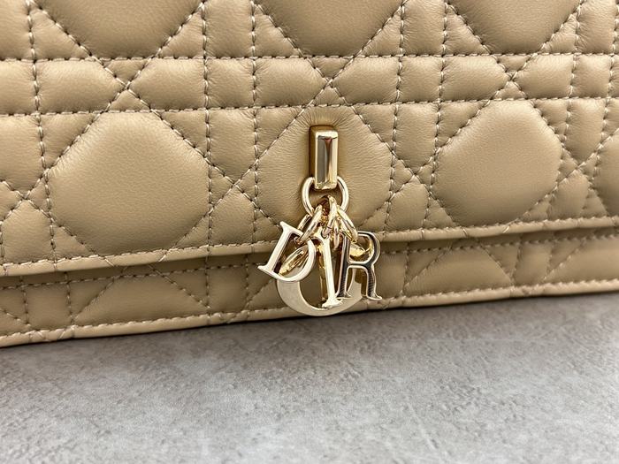 Dior Tote bag with stylish features Beige 01A 10