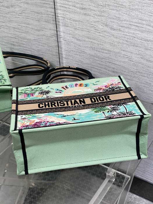 Dior Tote bag with stylish traits Green 01A