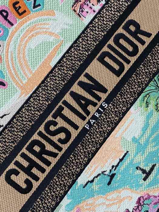 Dior Tote bag with stylish traits Green 01A