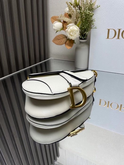 Dior Tote bag with stylish traits White 01A 6