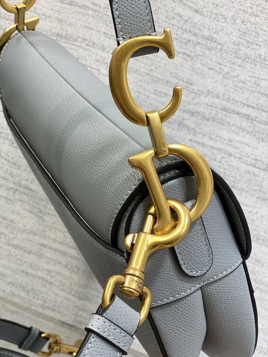 Dior Tote style 10 Grey 01A