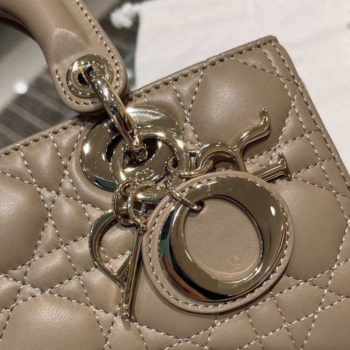 Dior Tote style 17 Brown 01A