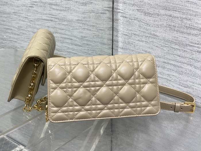 Dior Tote style 29 Beige 01A