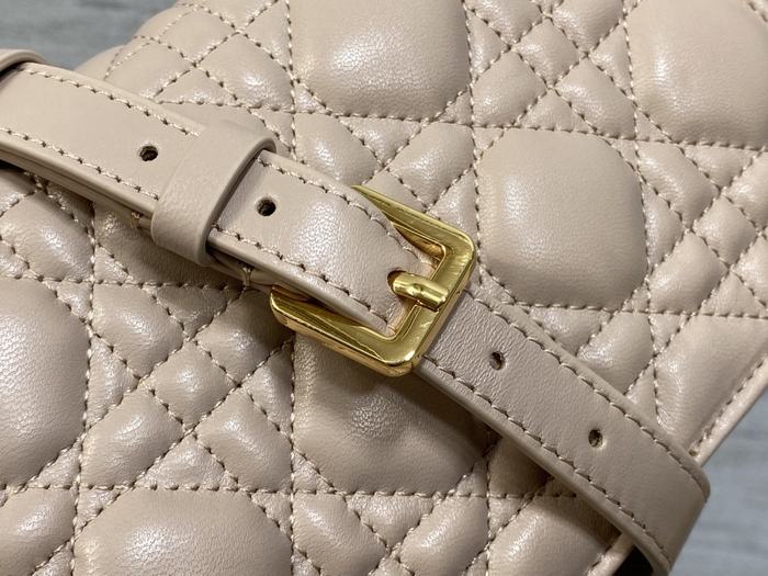 Dior Tote style 30 Beige 01A