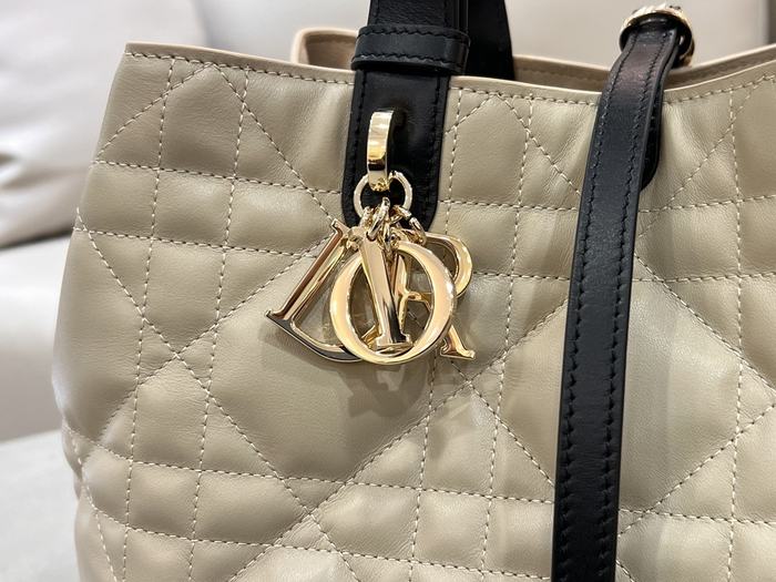 Dior Tote style 47 Beige 01A