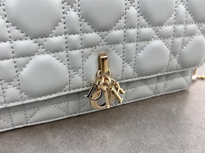 Dior Tote style 60 Grey 01A