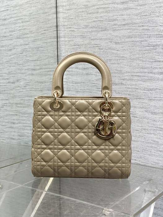 Dior Tote style 66 Beige 01A