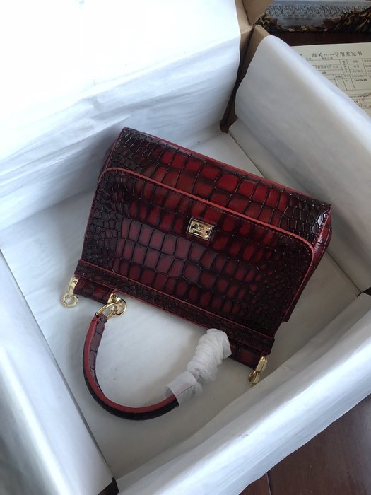 DolceGabbana DG 20cm HANDBAG color 95A