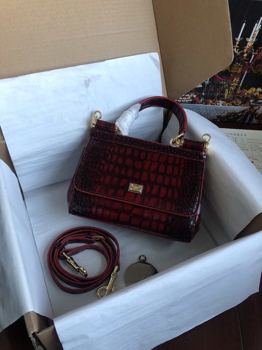 DolceGabbana DG 20cm HANDBAG color 95A