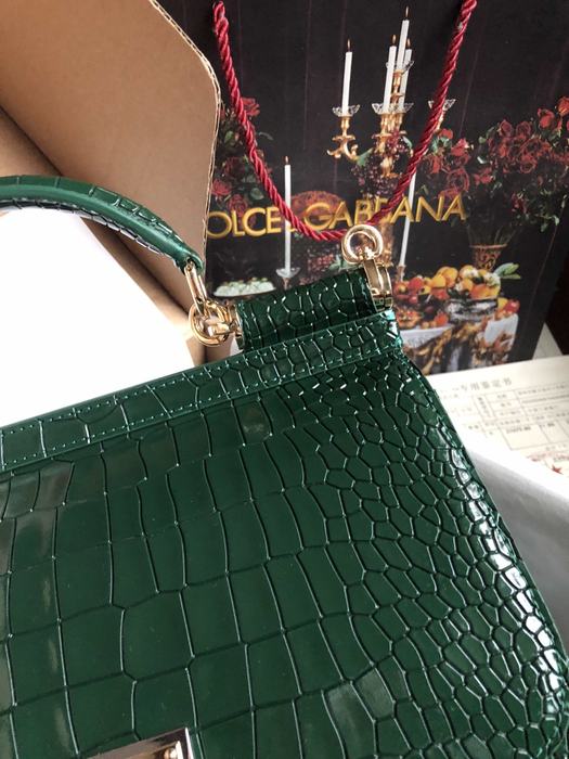 DolceGabbana DG 25cm HANDBAG color 96A