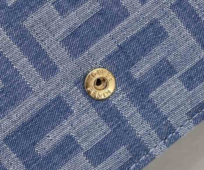 Fendi 6611 color 113A