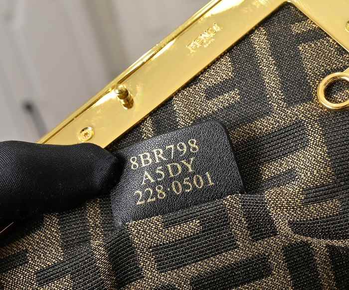 Fendi 80016 color 73A