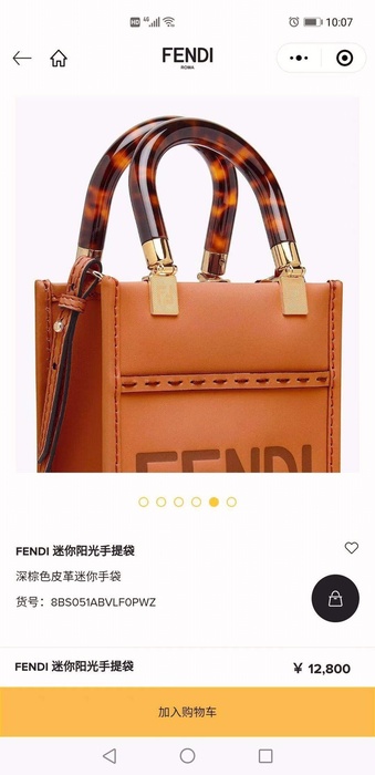 Fendi 8376 color 79A