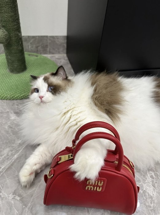 Miu-Miu,Bag，Latest styles,2026，yupoo，Original, quality