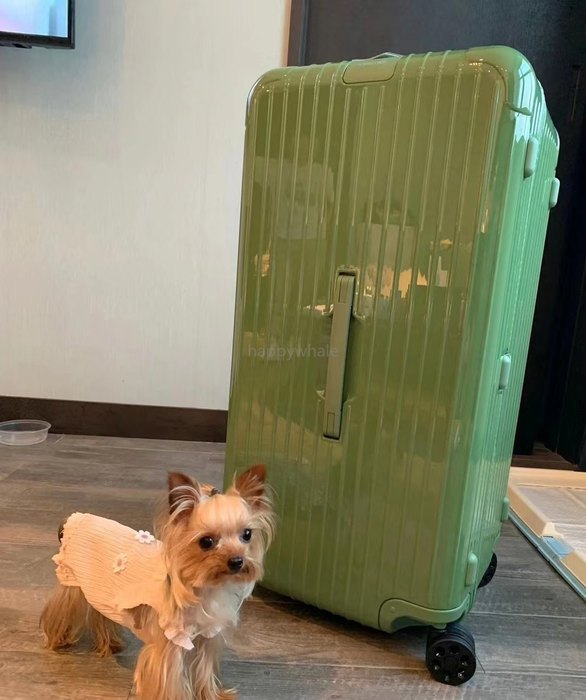 Rimowa_Bag_suitcase_carry-on-luggage_yupoo_Original_quality