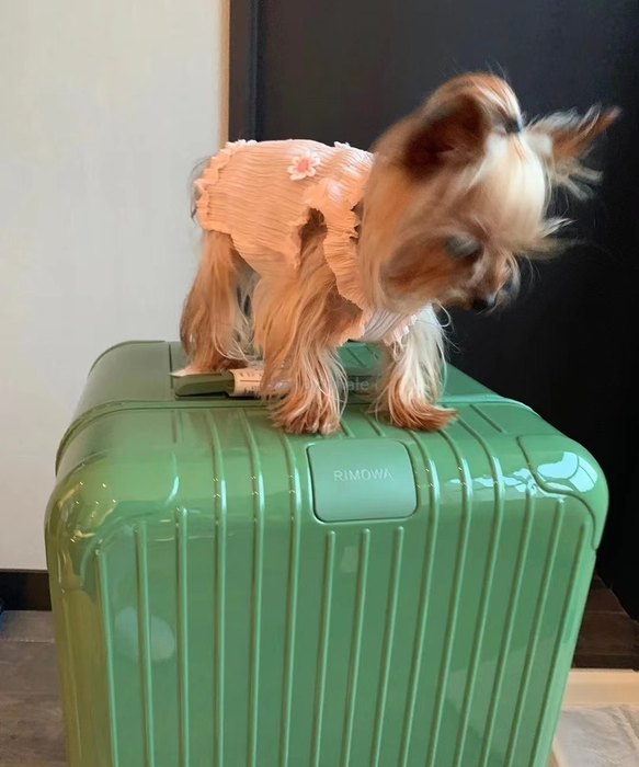 Rimowa_Bag_suitcase_carry-on-luggage_yupoo_Original_quality