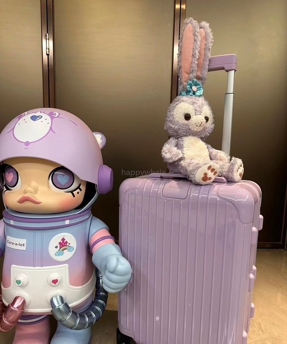 Rimowa_Bag_suitcase_carry-on-luggage_yupoo_Original_quality