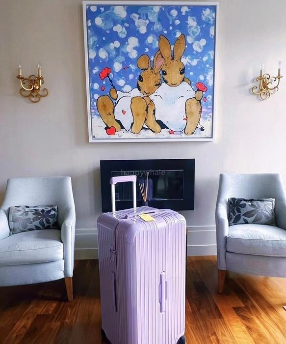 Rimowa_Bag_suitcase_carry-on-luggage_yupoo_Original_quality