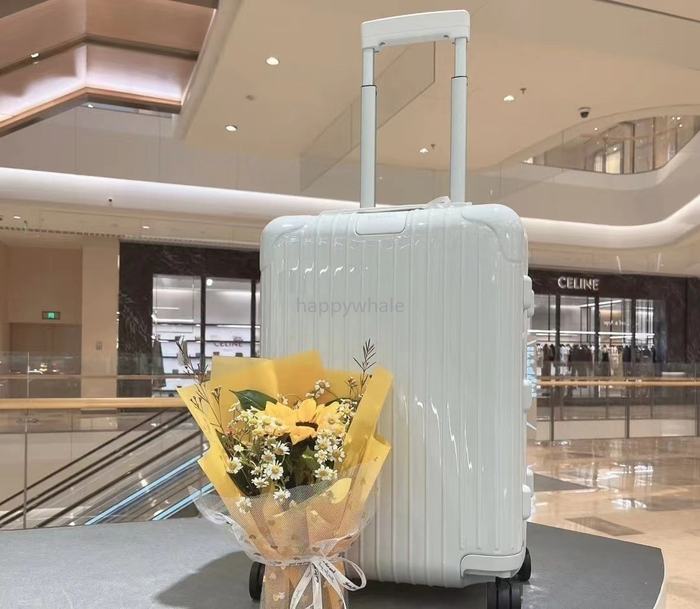 Rimowa_Bag_suitcase_carry-on-luggage_yupoo_Original_quality