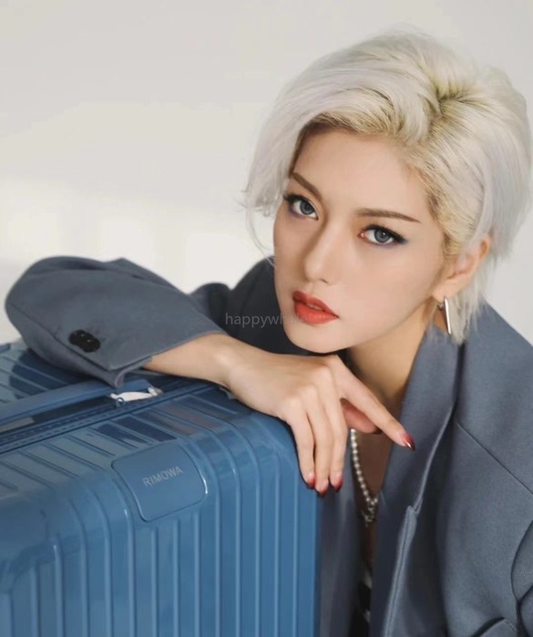 Rimowa_Bag_suitcase_carry-on-luggage_yupoo_Original_quality