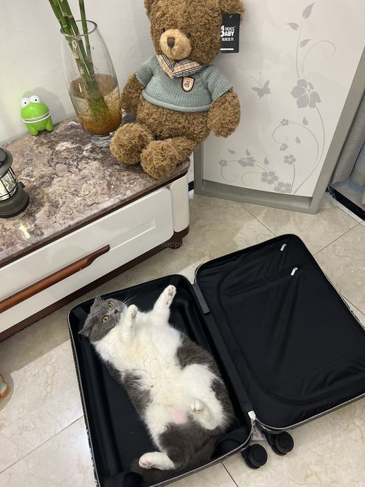 Rimowa_Bag_suitcase_carry-on-luggage_yupoo_Original_quality