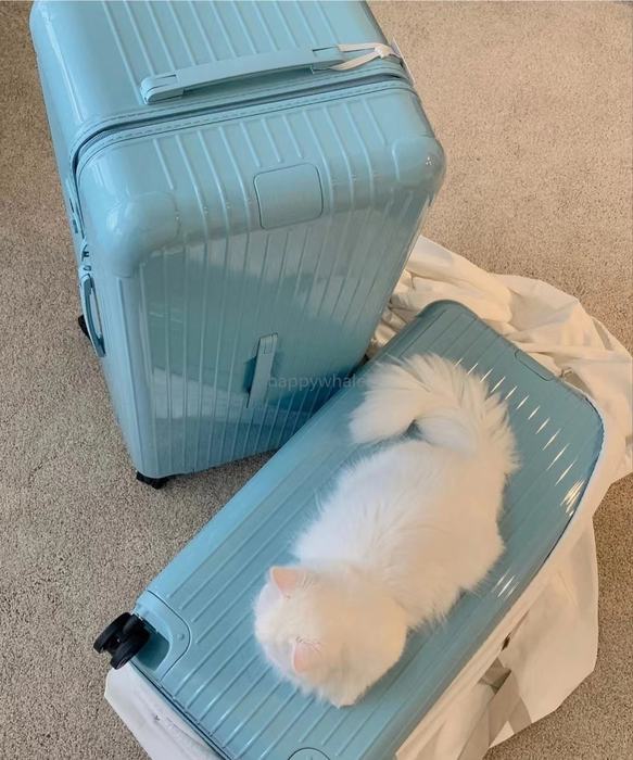 Rimowa_Bag_suitcase_carry-on-luggage_yupoo_Original_quality