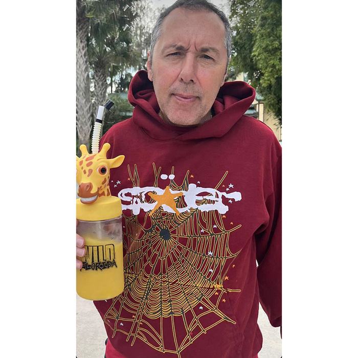 Clothing hoodie Burgundy 001