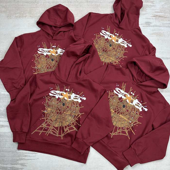 Clothing hoodie Burgundy 001