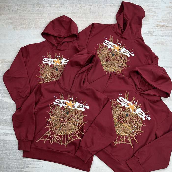 Clothing hoodie Burgundy 001