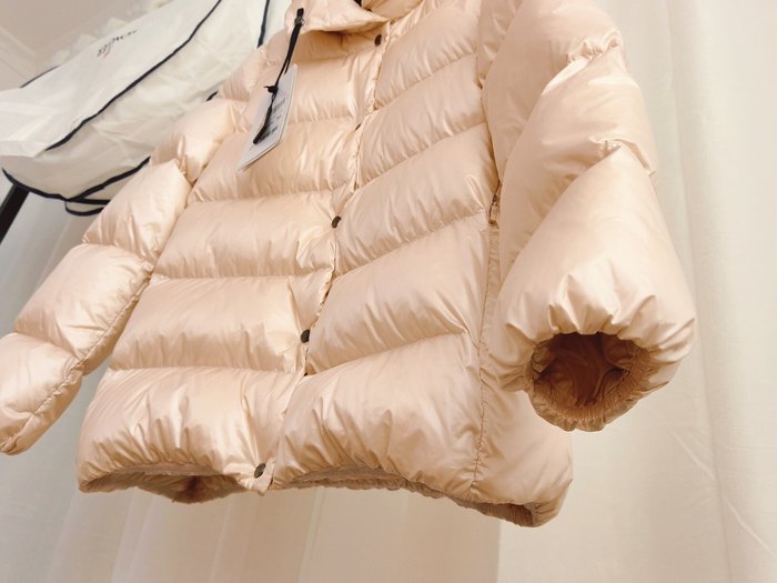 Clothing Moncler Cochevis down jacket Beige