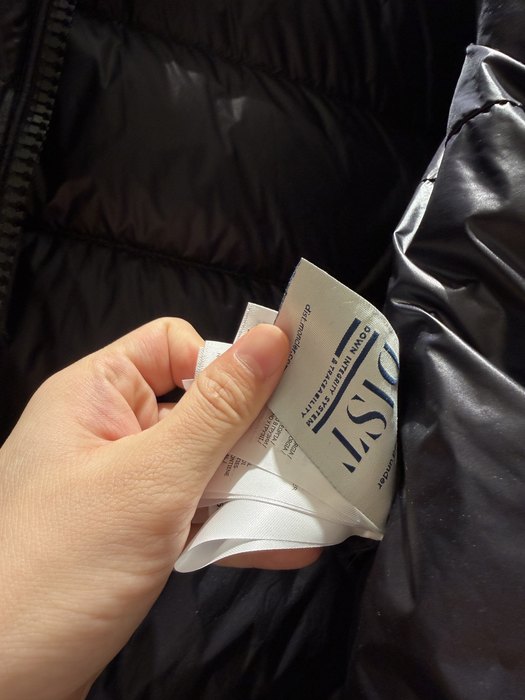 Clothing Moncler puffer jacket with hood Black