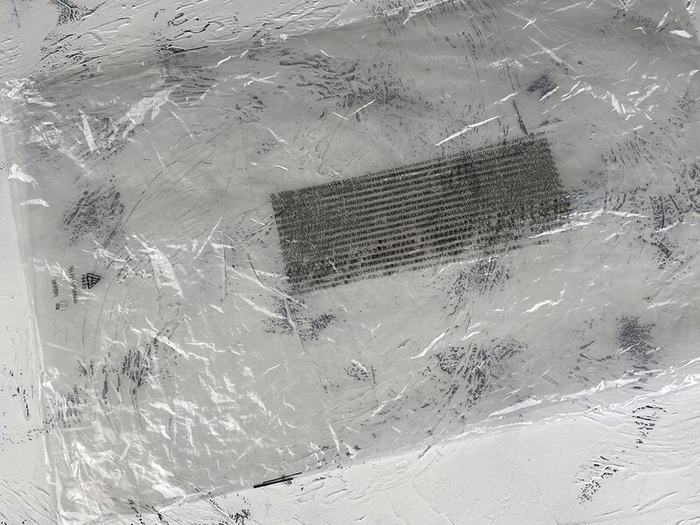 AlexanderMcQueen_Shoes_Latest styles_2026_yupoo_Original_quality