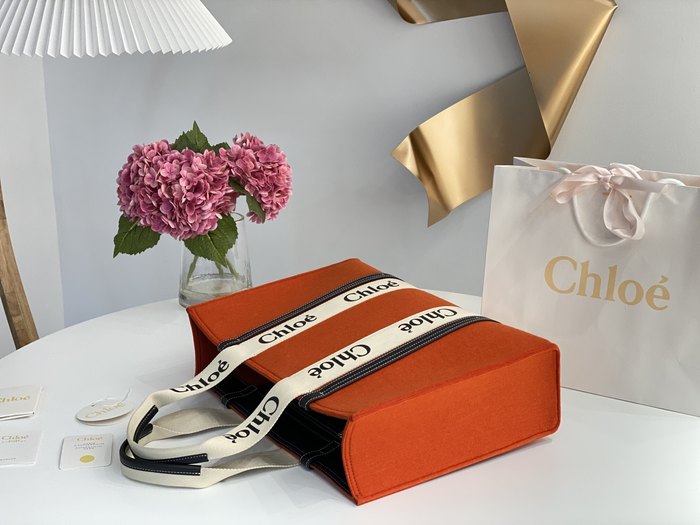 Chloe Tote with stylish features Brown 01A 2