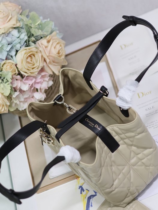 Dior Bags High-Quality Yupoo Collection