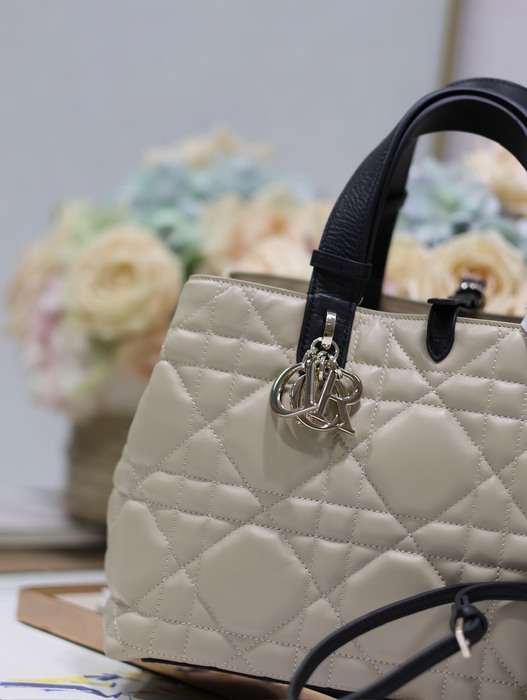Dior Bags High-Quality Yupoo Collection