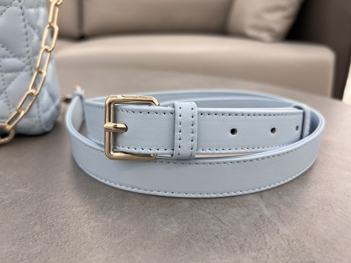 Dior Bags High-Quality Yupoo Collection