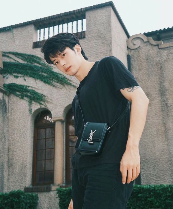 YSL_Bag_Latest styles_2026_yupoo_Original_quality